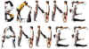 bonne_annee.jpg (96780 octets)