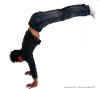 position24.jpg (49512 octets)