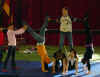 acro_italie_2008_15.JPG (109516 octets)
