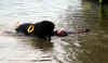 sun_festival2007_divers21.JPG (1502179 octets)