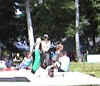 sun_festival2007_spectacle03.jpg (78972 octets)