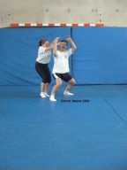 cerclefeu.gif (337227 octets)