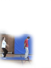 niffatipaulus_tiffany_paul.gif (330564 octets)