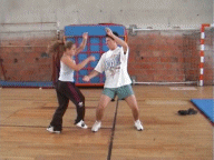 roue_allan_zelie.gif (215225 octets)