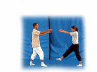 saut_de mains_genou_adrien_elisabeth.gif (255773 octets)
