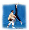 saut_de mains_genou_adrien_elisabeth03.jpg (24992 octets)