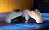 10_ans_as_acro_160.jpg (21401 octets)