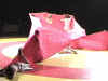2007_4mai_danse_dijon01.jpg (211232 octets)