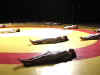 2007_4mai_danse_dijon05.jpg (166536 octets)