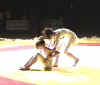 2007_4mai_danse_dijon10.jpg (25302 octets)