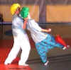 villeneuve_cirque_06.jpg (36243 octets)