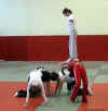 rencontre_acro_migennes_30_01_08_16.jpg (41047 octets)