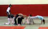 rencontre_acro_migennes_30_01_08_24.jpg (39725 octets)