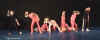 02_pantheres_roses02.jpg (26293 octets)