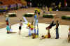 cloture_dijon_250606_acro03.jpg (175915 octets)