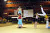 cloture_dijon_250606_acro06.JPG (109522 octets)