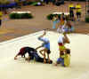 cloture_dijon_250606_acro13.jpg (127587 octets)