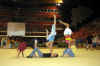 cloture_dijon_250606_acro15.JPG (132703 octets)