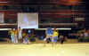 cloture_dijon_250606_acro18.JPG (74624 octets)