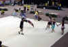 cloture_dijon_250606_acro19.jpg (174886 octets)