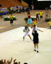 cloture_dijon_250606_acro32.jpg (135180 octets)