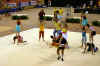 cloture_dijon_250606_acro37.jpg (172227 octets)