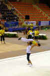 cloture_dijon_250606_rock057.jpg (127314 octets)