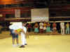 cloture_dijon_250606_rock060.JPG (87314 octets)