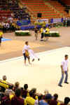 cloture_dijon_250606_rock061.jpg (178584 octets)