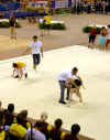 cloture_dijon_250606_rock066.jpg (171315 octets)
