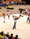 cloture_dijon_250606_rock067.jpg (173800 octets)
