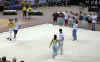 cloture_dijon_250606_rock069.jpg (176827 octets)