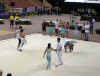 cloture_dijon_250606_rock070.jpg (179855 octets)