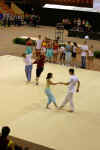 cloture_dijon_250606_rock075.jpg (134069 octets)
