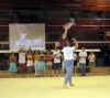 cloture_dijon_250606_rock080.JPG (76649 octets)
